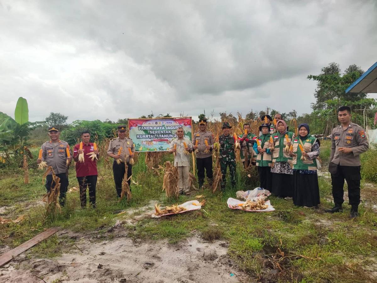 Panen Raya Jagung Serentak Kuartal I 2026 Digelar di Perpustakaan Cendil